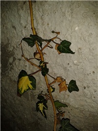 3400600d-2016-07-06 21.29.38.jpg